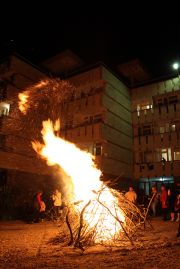 Բուժական ճամբար 2012